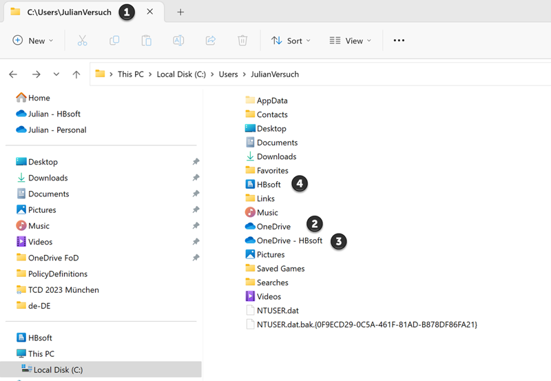 This screenshot shows the directory that contains the folders of the synced files, examples of OneDrive accounts, and the folder symbol of synced SharePoint document libraries.