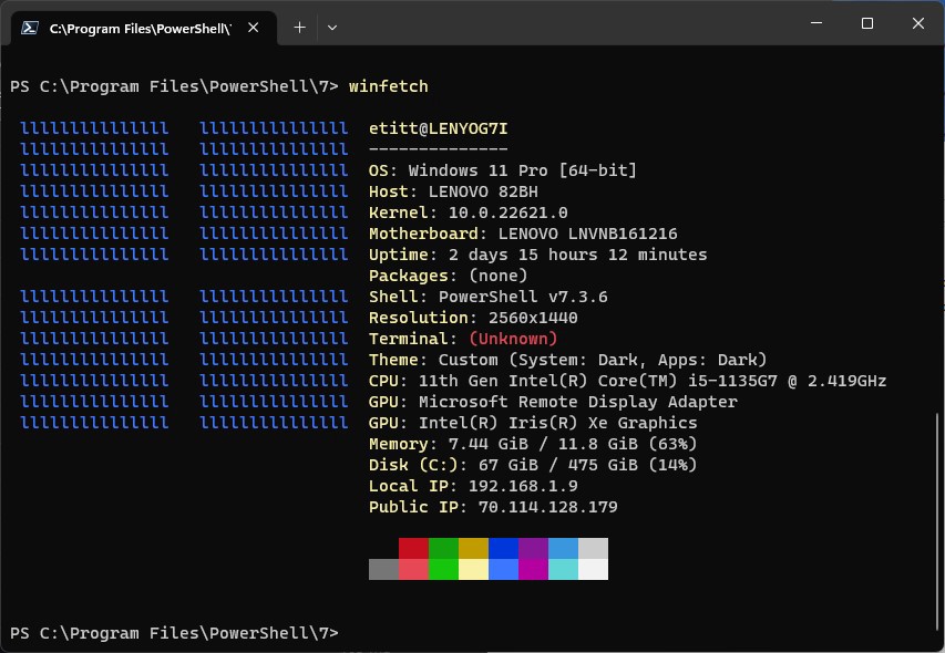 As this screenshot shows, in Windows 11, Winfetch shows a simple square character logo and various system information items, including a color bar at the bottom.