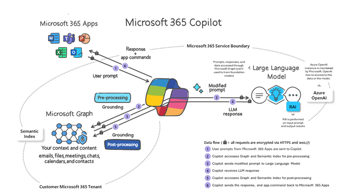 Screenshot of Microsoft 365 copilot process how it works